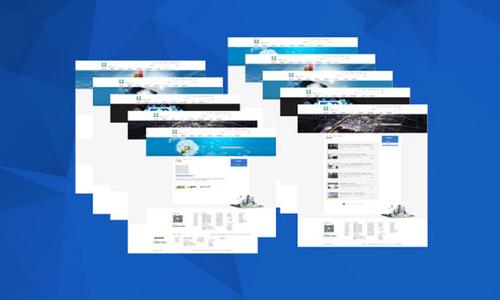 信息門戶類做網站方案